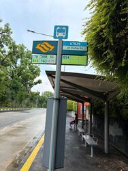 Tuan Sing Park (D28), Semi-Detached #546256741